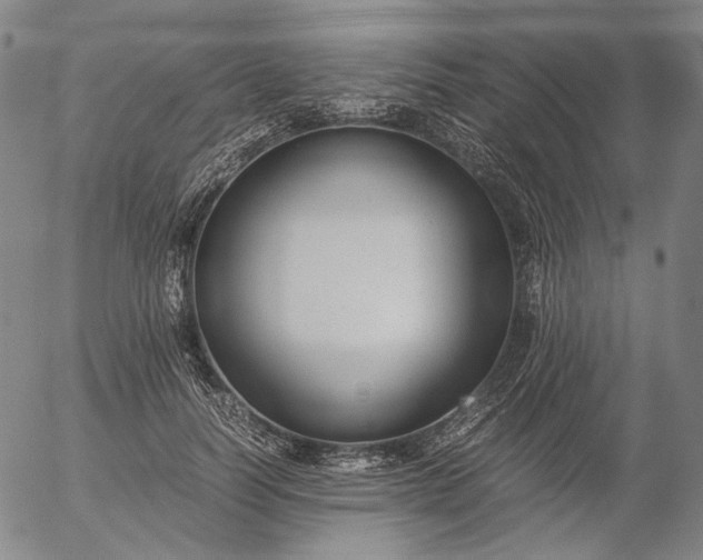 X0000056000746200509021703