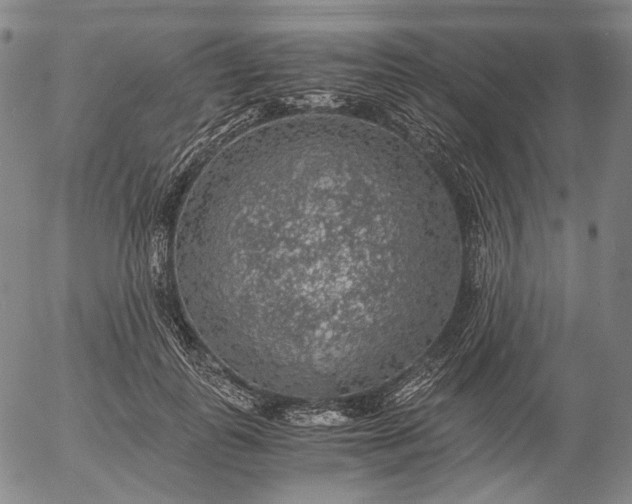 X0000056000747200509021703