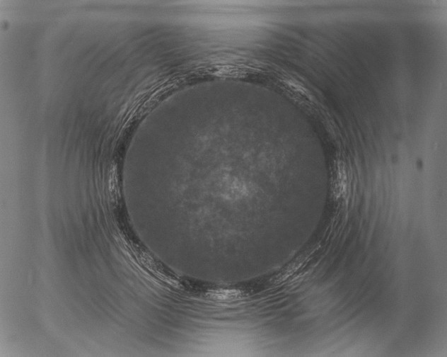 X0000056000748200509021703