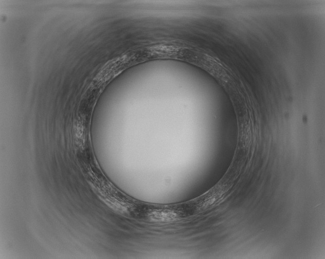 X0000056000749200509021703