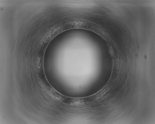 X0000056000750200509021703