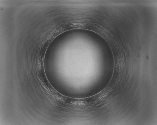 X0000056000751200509021703