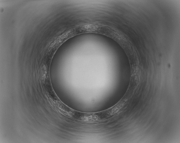 X0000056000752200509021703