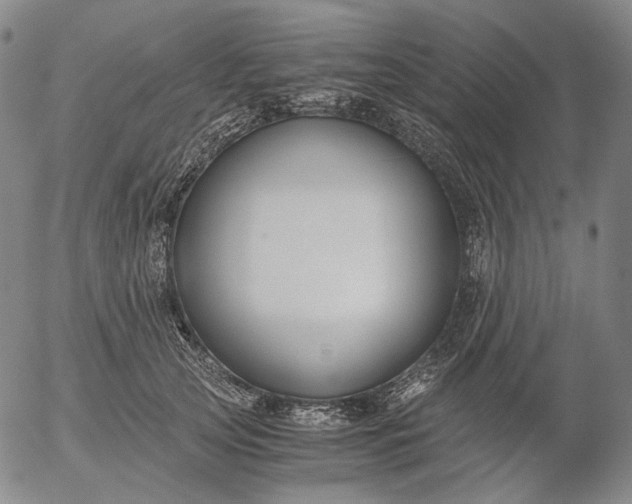 X0000056000753200509021703