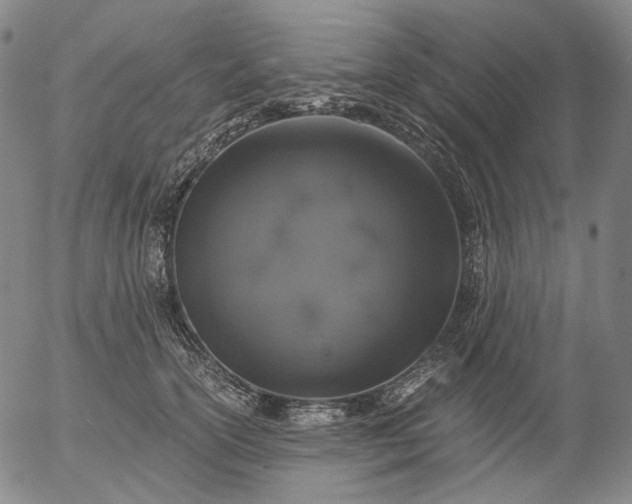 X0000056000754200509021704