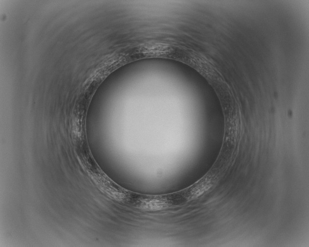 X0000056000755200509021704