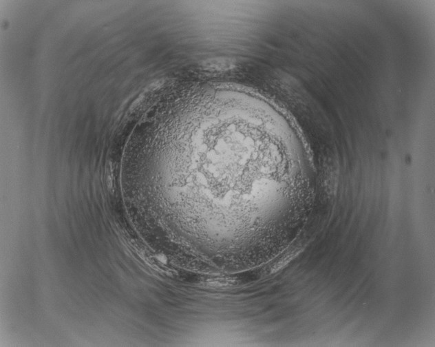 X0000056000758200509021704