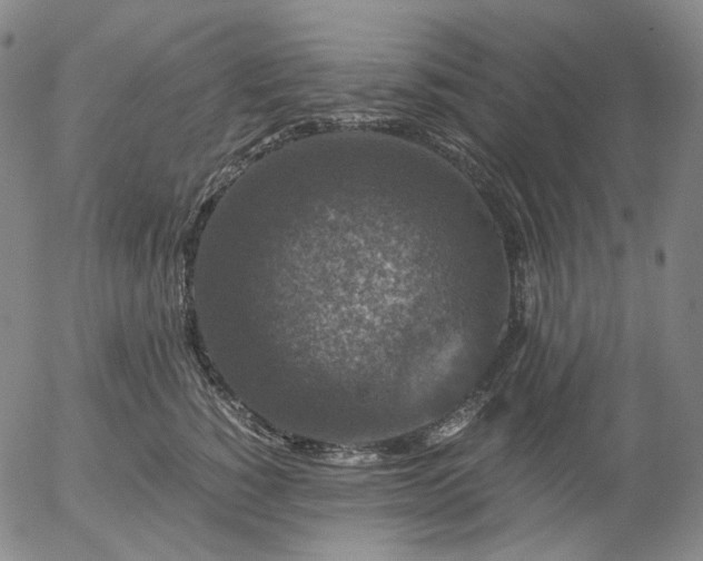 X0000056000760200509021704