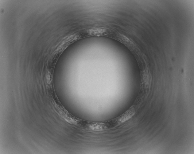 X0000056000761200509021704