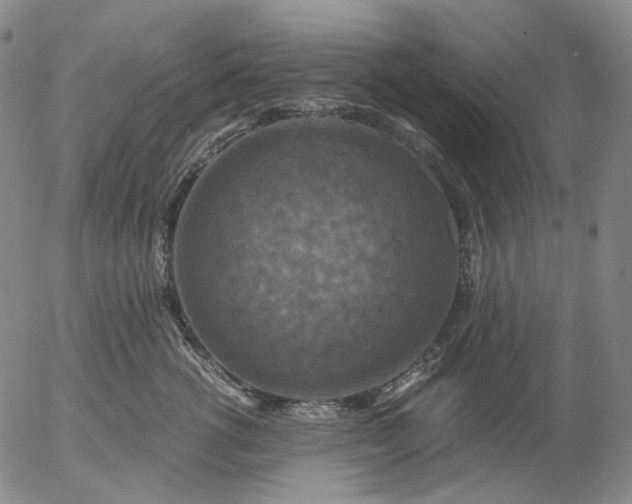 X0000056000762200509021704