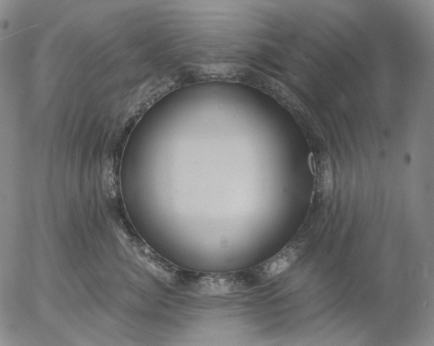 X0000056000764200509021704