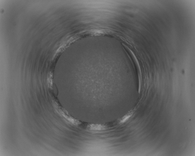 X0000056000766200509021704