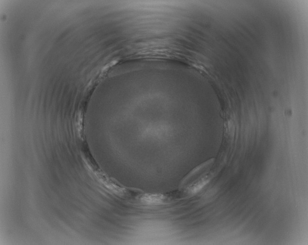 X0000056000767200509021704