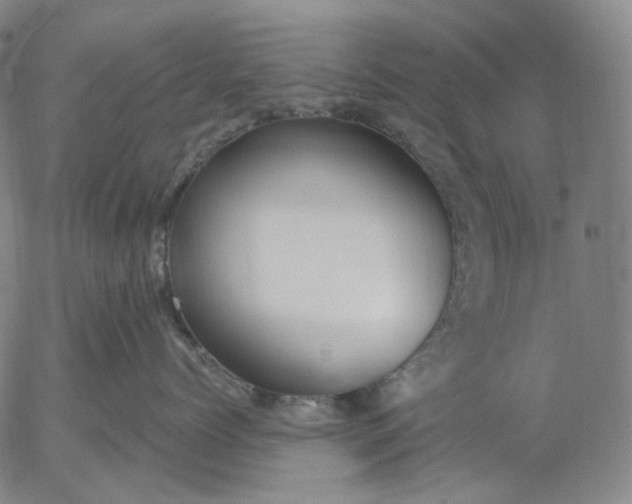 X0000056000768200509021704