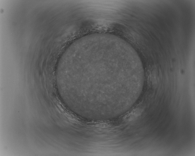 X0000056000769200509021703