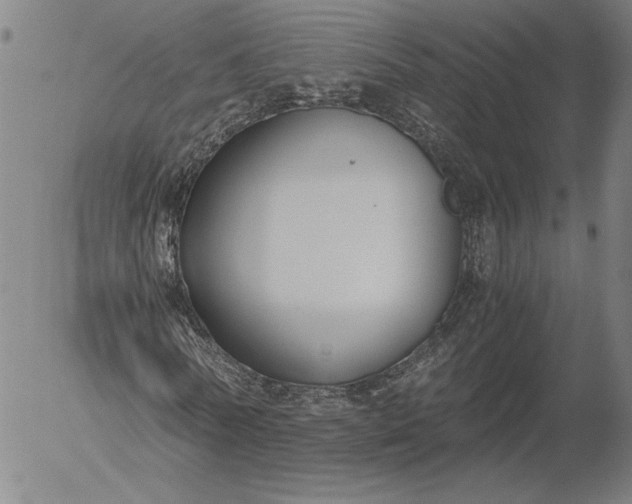 X0000056000770200509021703