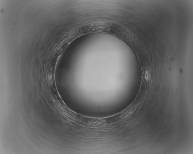 X0000056000771200509021703