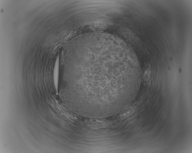 X0000056000772200509021703