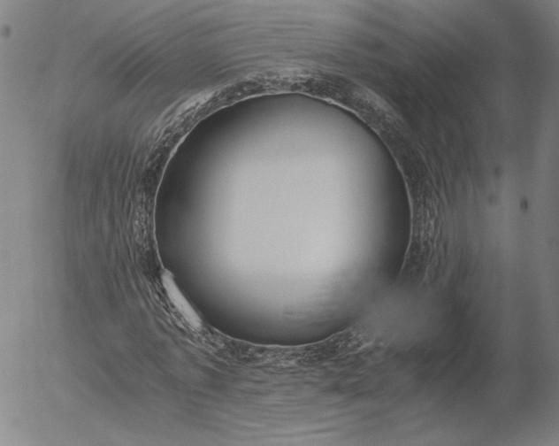 X0000056000773200509021703