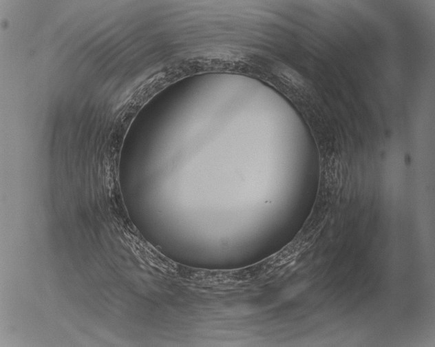 X0000056000774200509021703