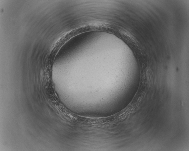 X0000056000776200509021703