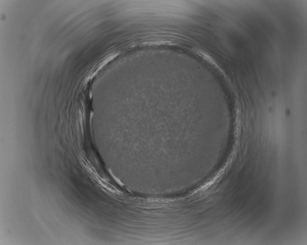 X0000056000777200509021703