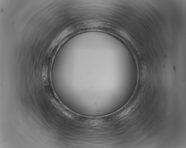 X0000056000778200509021703