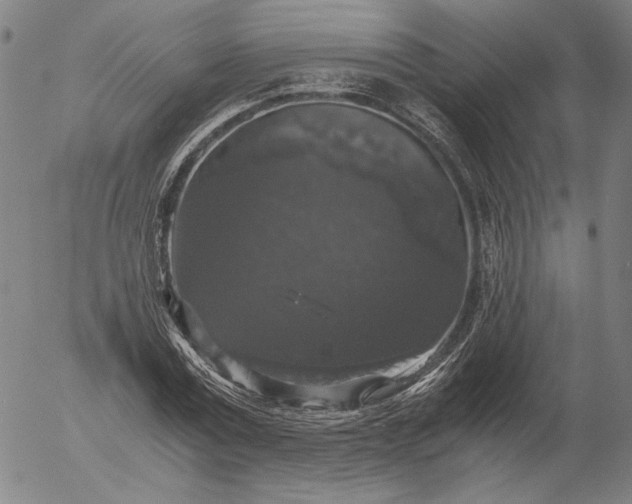 X0000056000779200509021703