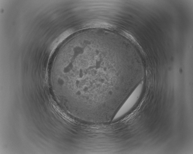 X0000056000780200509021703