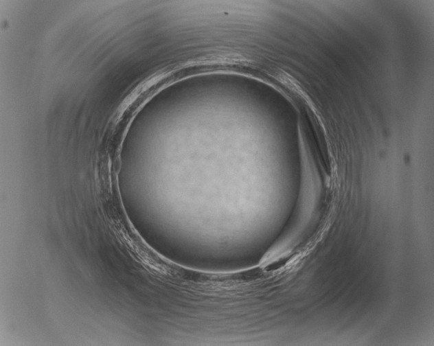 X0000056000781200509021703