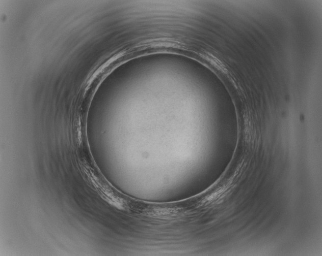 X0000056000782200509021703