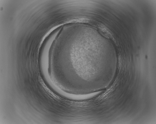 X0000056000784200509021703