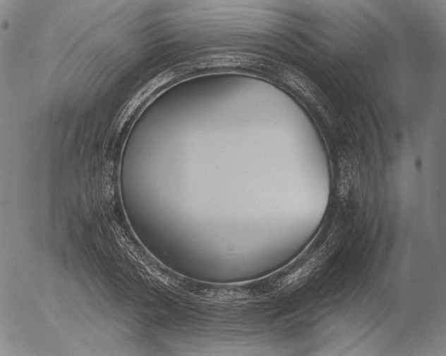 X0000056000786200509021703