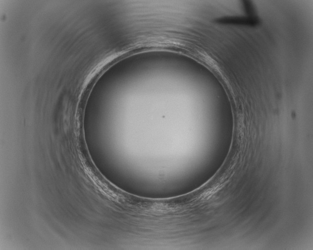 X0000056000787200509021703