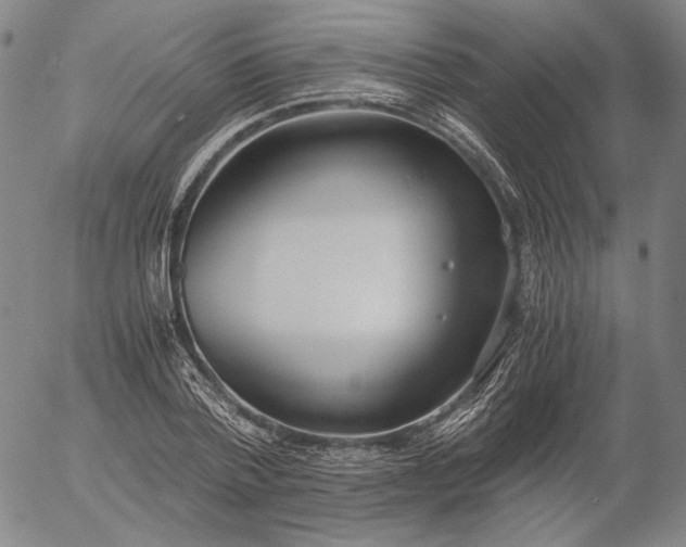 X0000056000788200509021703