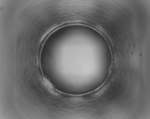 X0000056000789200509021703