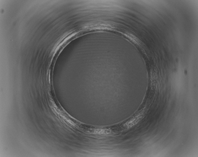 X0000056000790200509021703