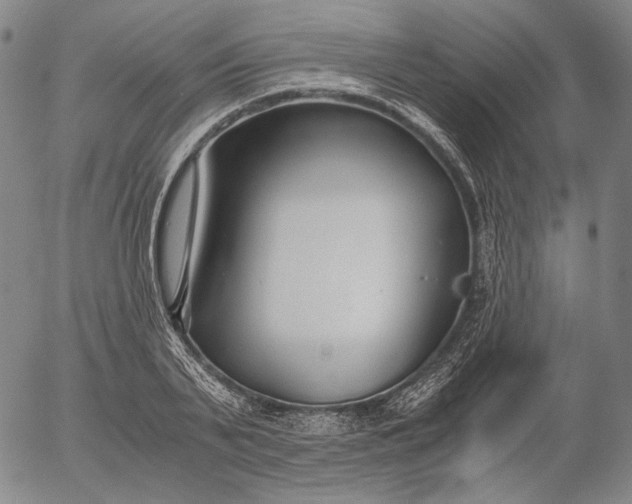 X0000056000791200509021703