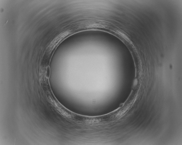 X0000056000793200509021703