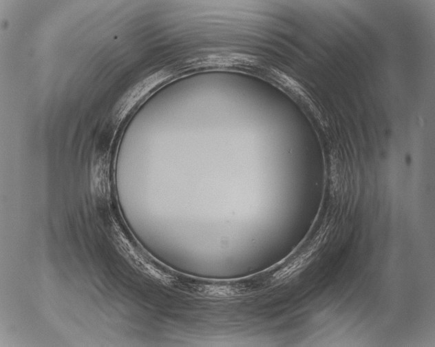 X0000056000794200509021703