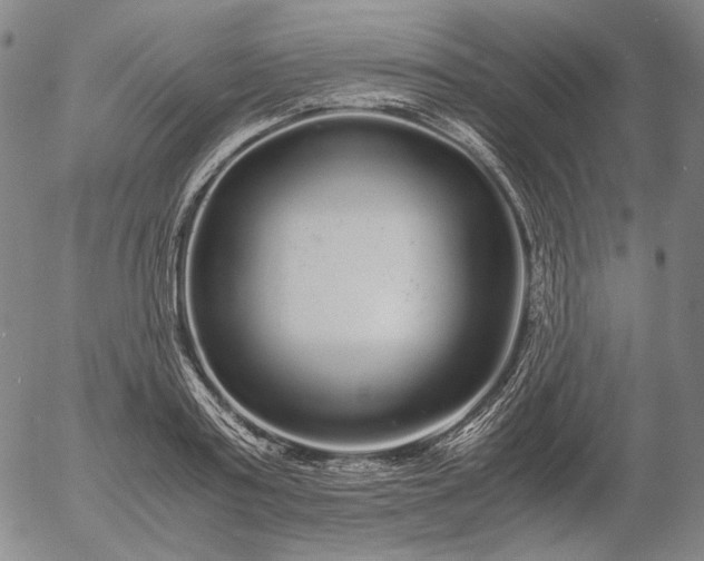 X0000056000795200509021703