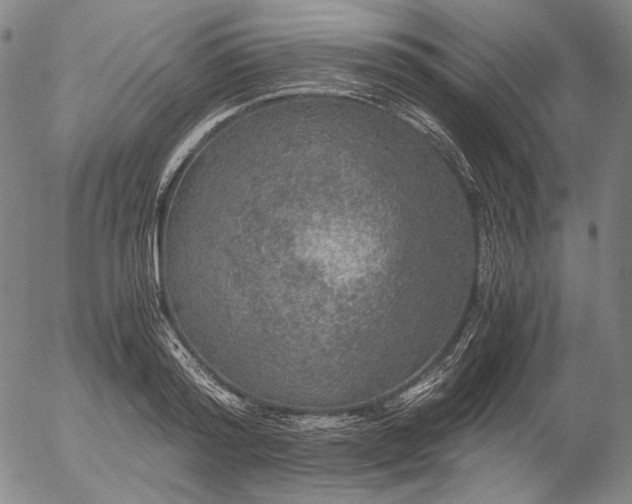 X0000056000796200509021702