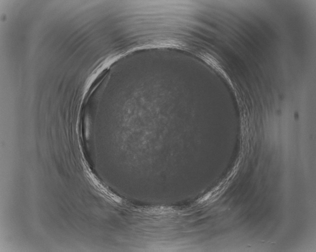 X0000056000797200509021702