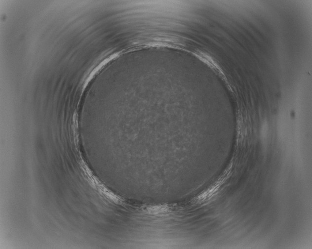 X0000056000798200509021702