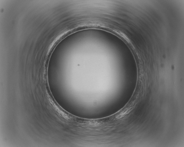 X0000056000799200509021702