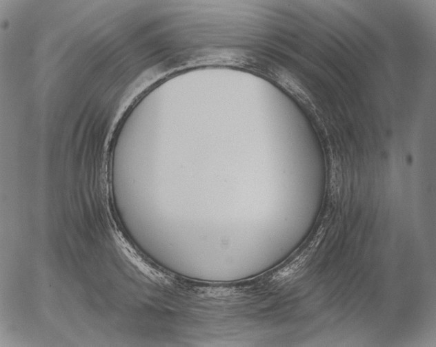 X0000056000800200509021702