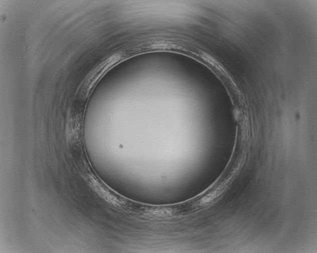 X0000056000801200509021702