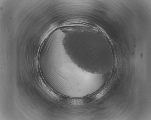 X0000056000802200509021702