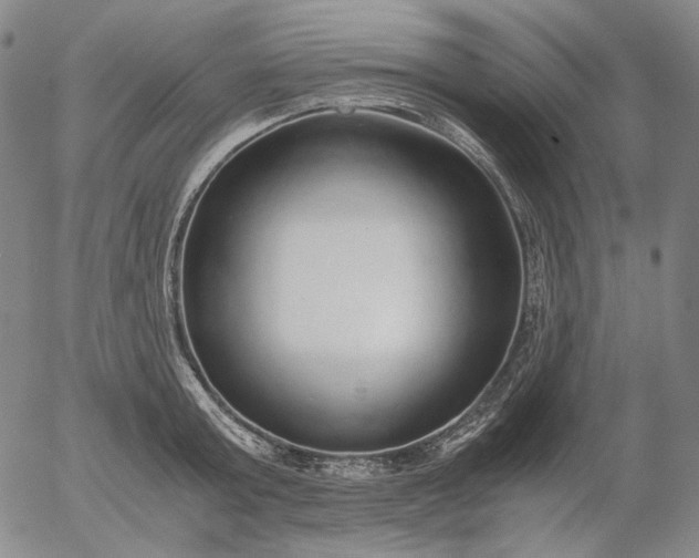 X0000056000803200509021702