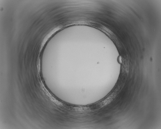 X0000056000804200509021702